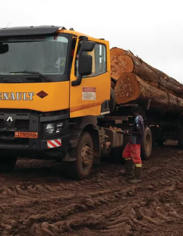 Logging Renault Trucks in Cameroon